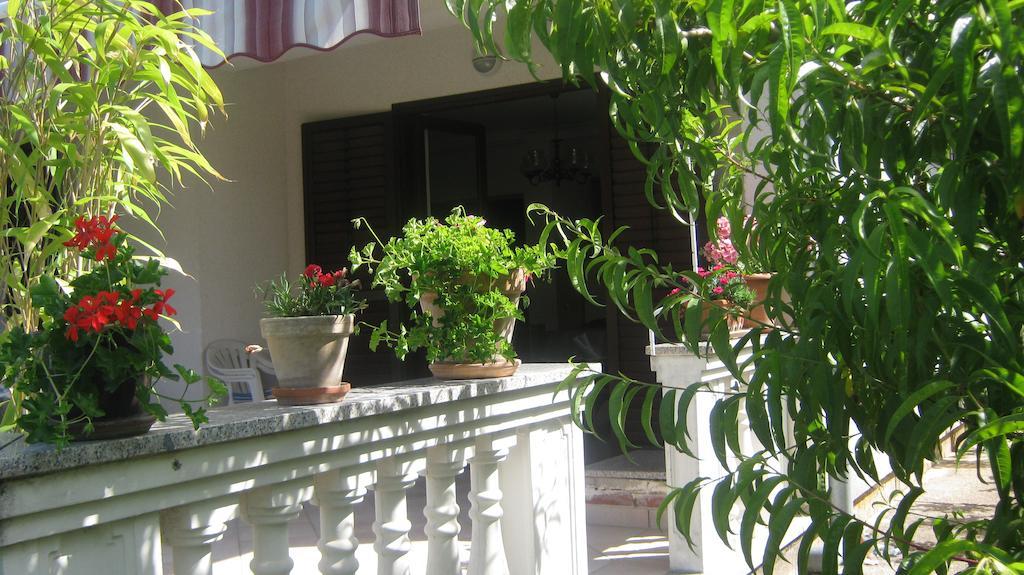 Apartments Grzunov Zadar Zewnętrze zdjęcie