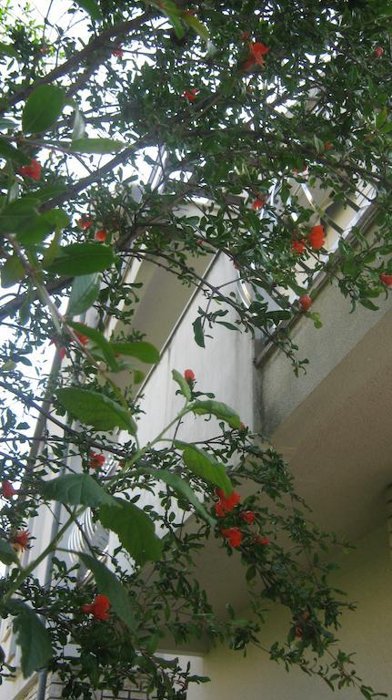 Apartments Grzunov Zadar Zewnętrze zdjęcie